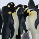 Los pingüinos rey Skipper y Ping del Zoo de Berlín han intentado incubar muchas piedras (y hasta un pez muerto). No obstante, su suerte acaba de cambiar.